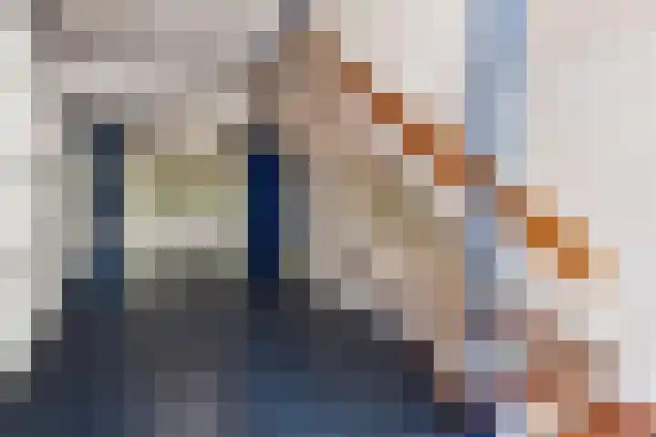 De Brink 464 Den Haag thumbnail 7