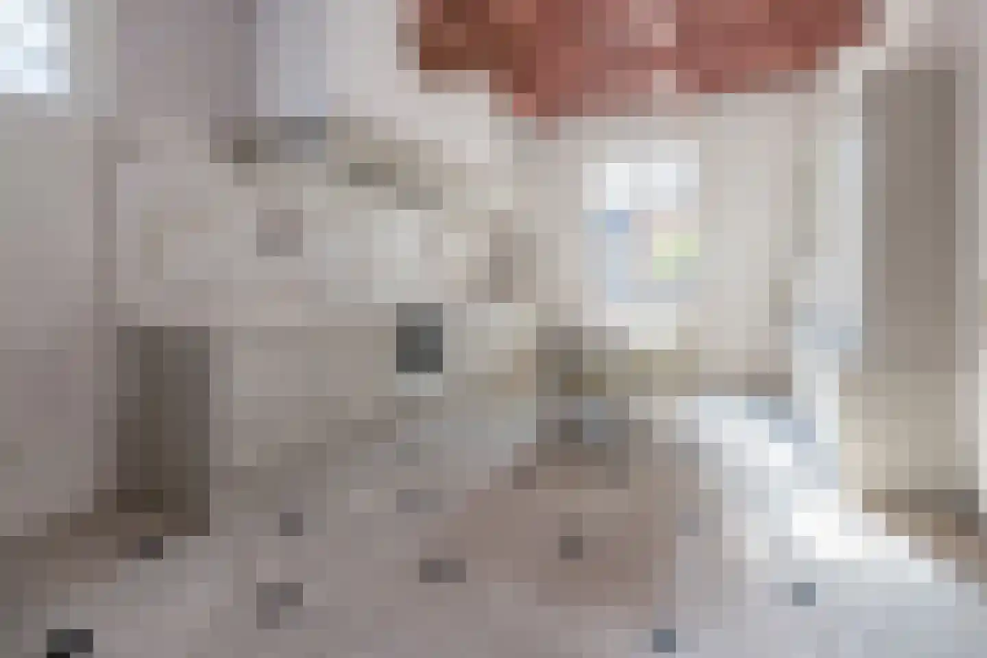 De Brink 5 Cothen thumbnail 11