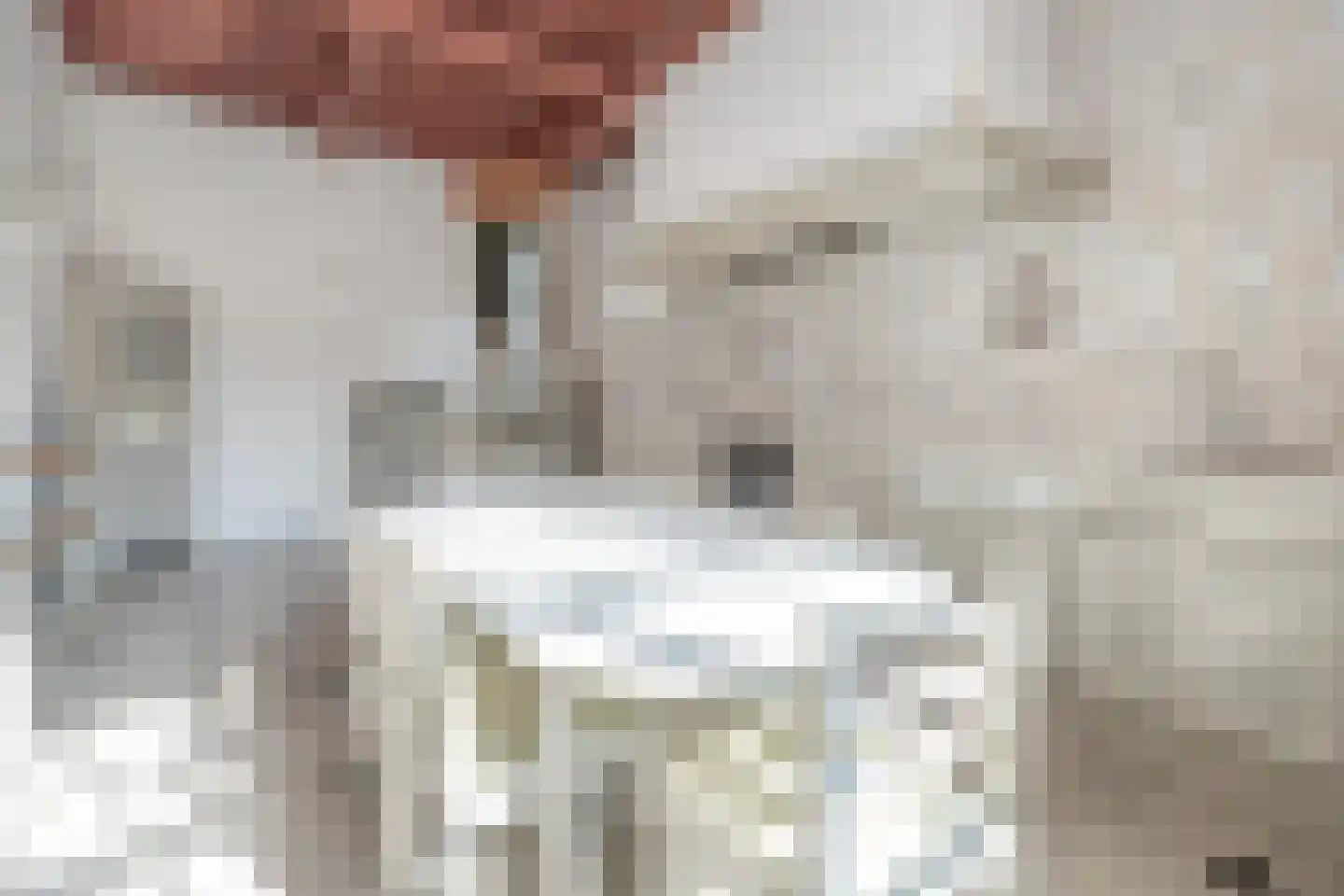 De Brink 5 Cothen thumbnail 12