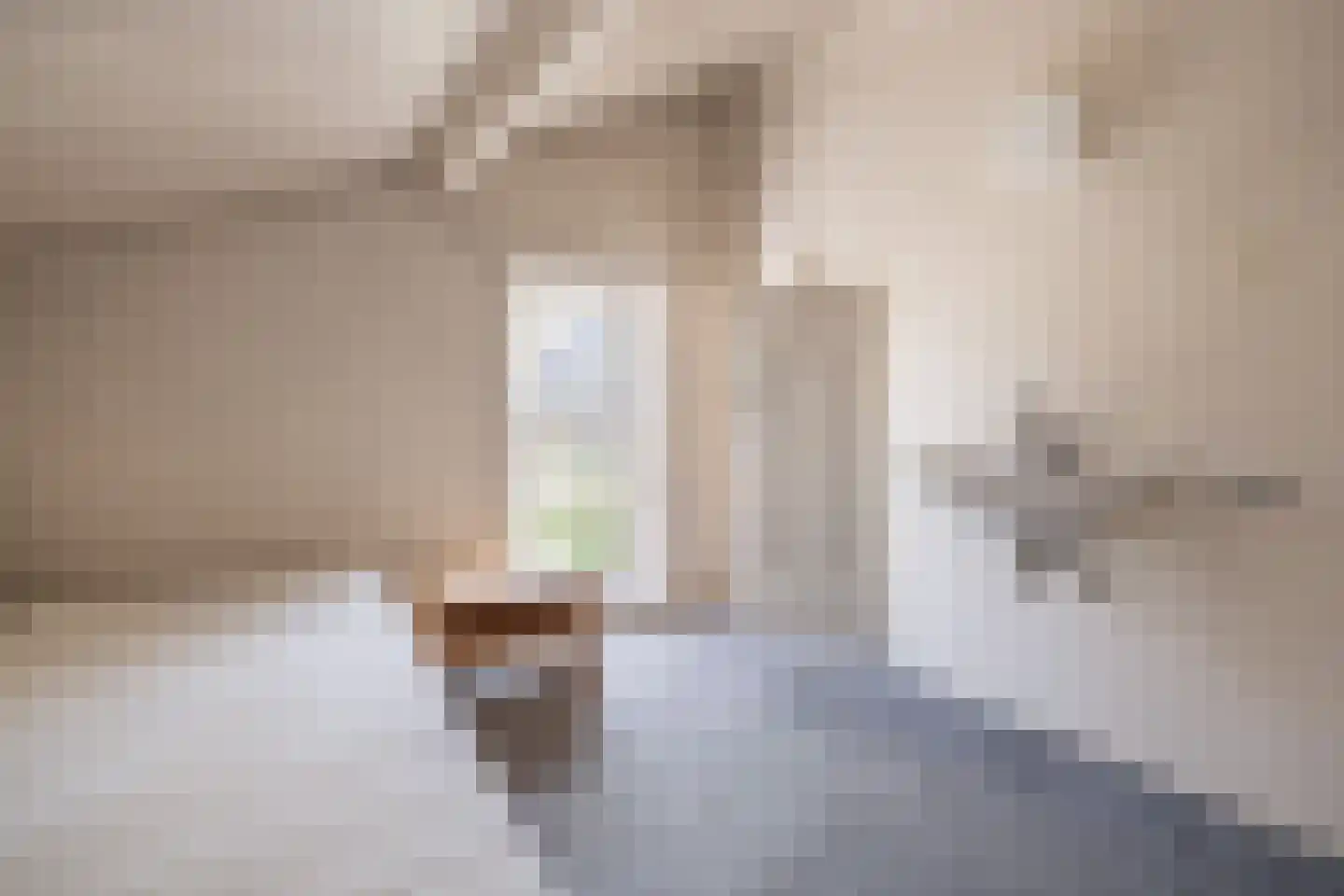 De Brink 5 Cothen thumbnail 15