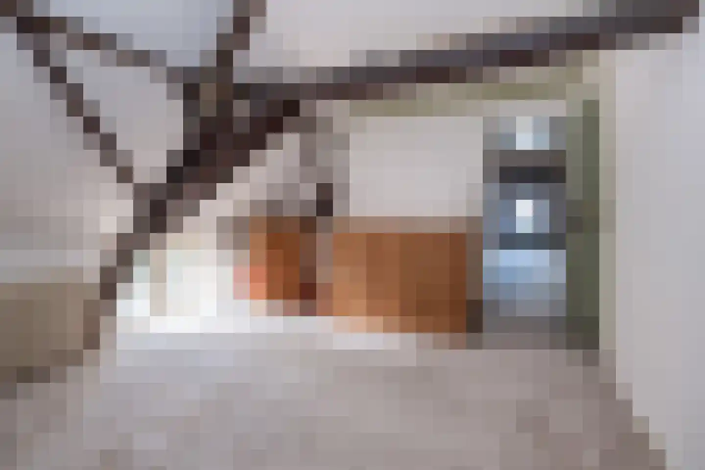 De Brink 5 Cothen thumbnail 36