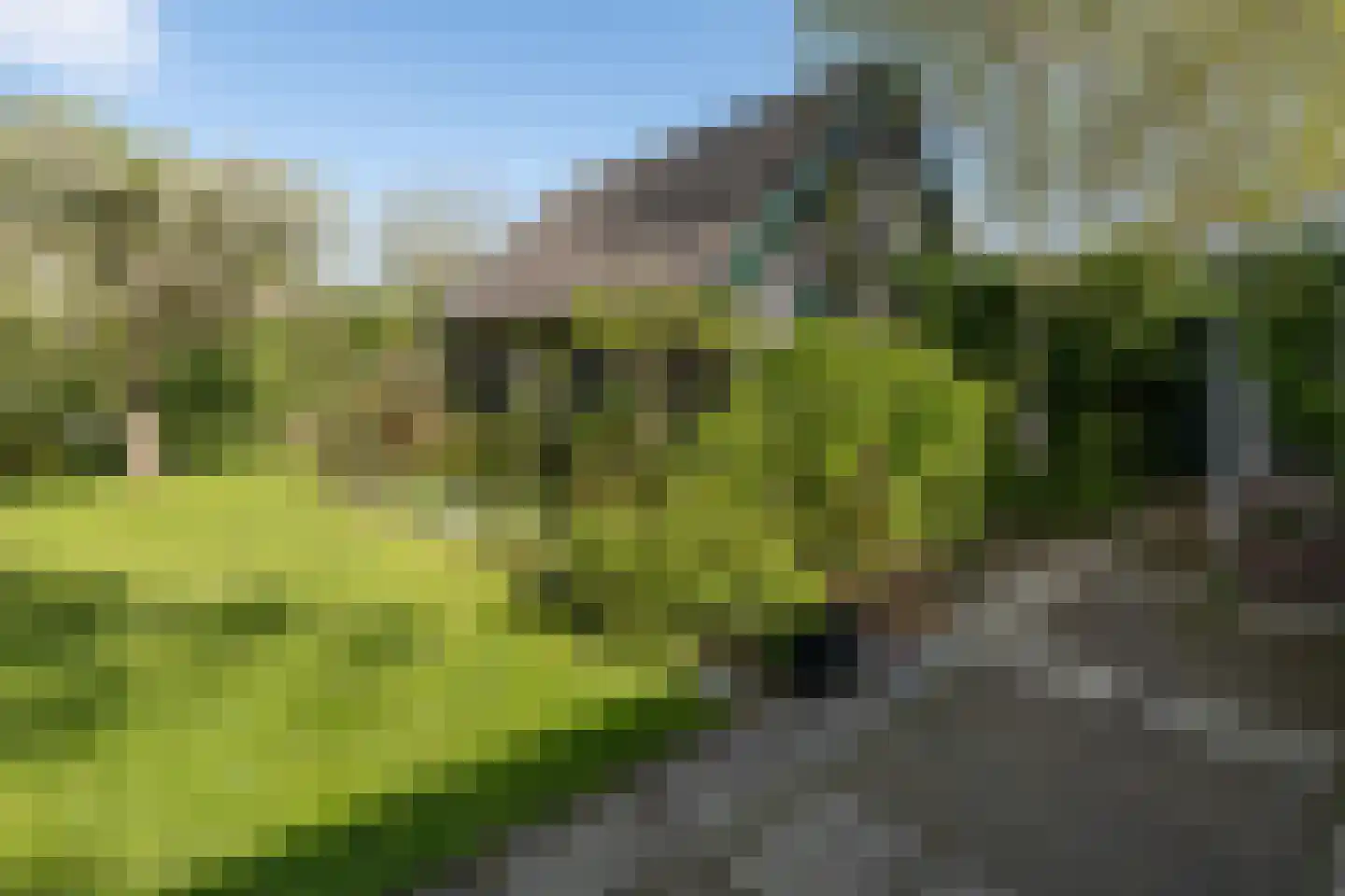 De Brink 5 Cothen thumbnail 39