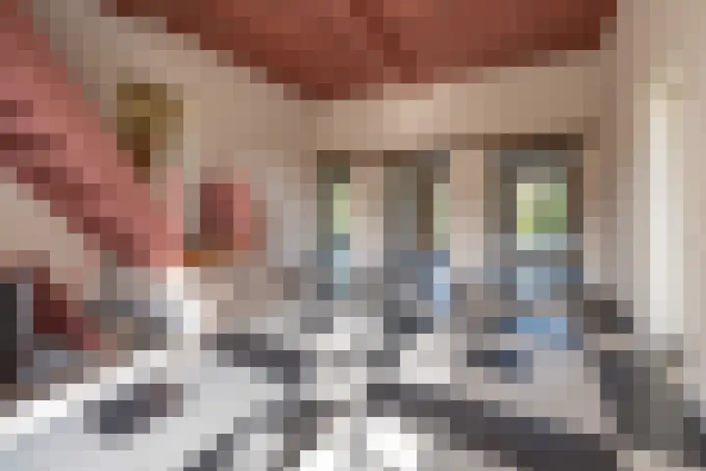 De Brink 5 Cothen thumbnail 4
