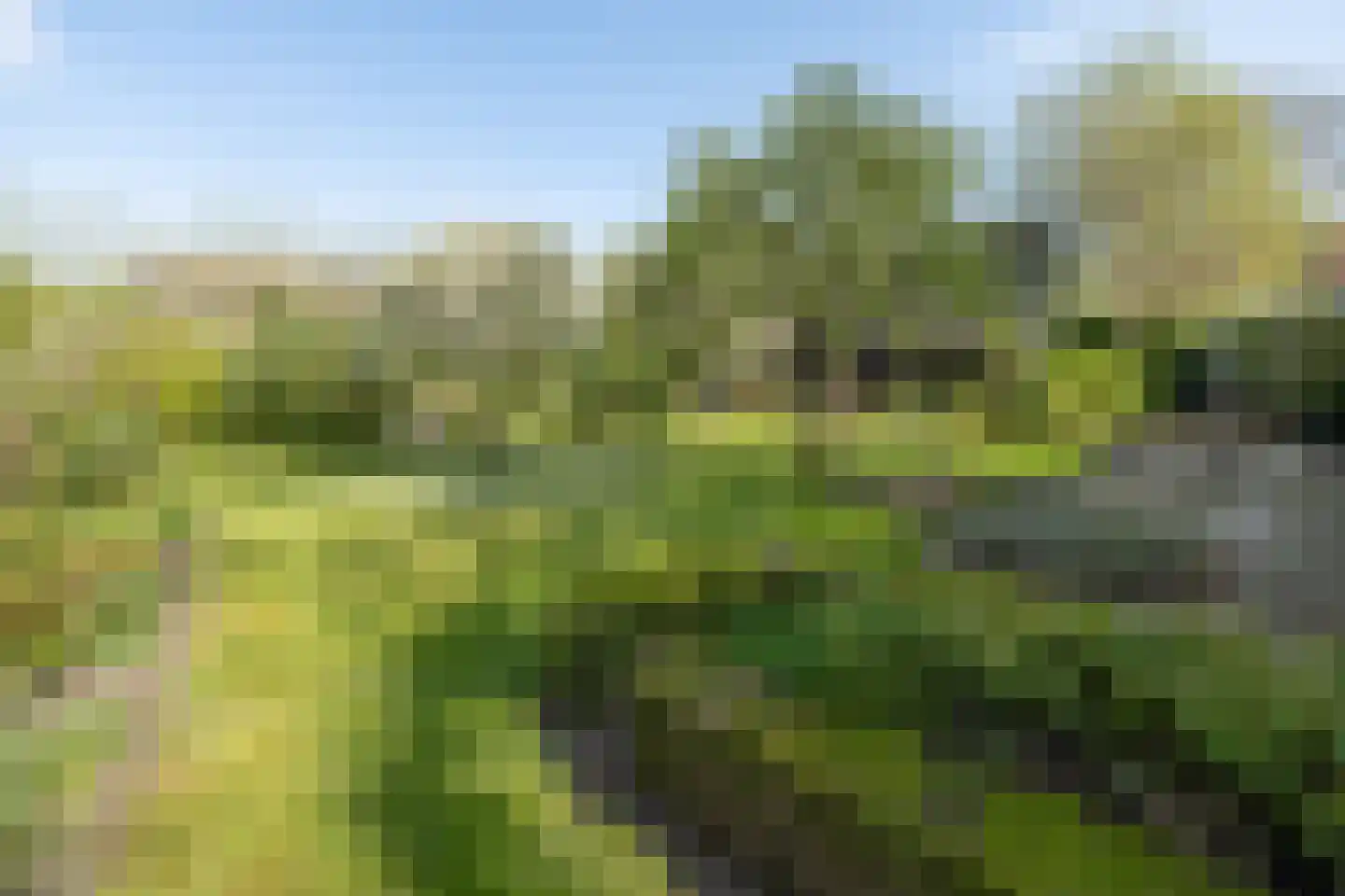 De Brink 5 Cothen thumbnail 40