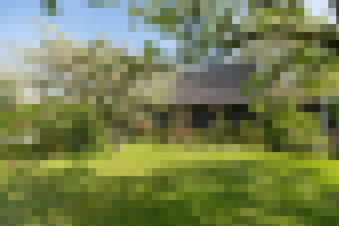 De Brink 5 Cothen thumbnail 44