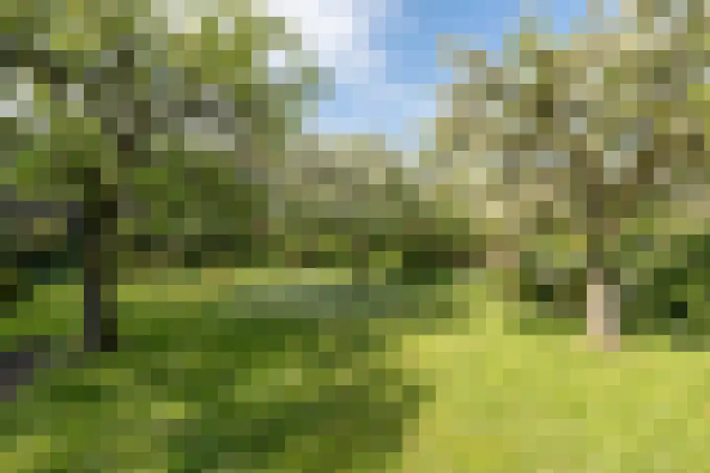 De Brink 5 Cothen thumbnail 45