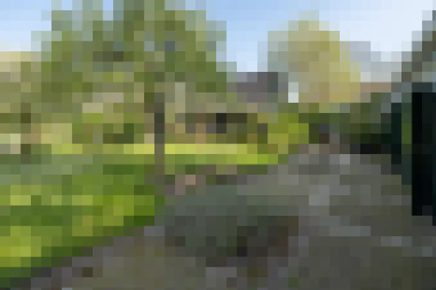 De Brink 5 Cothen thumbnail 46
