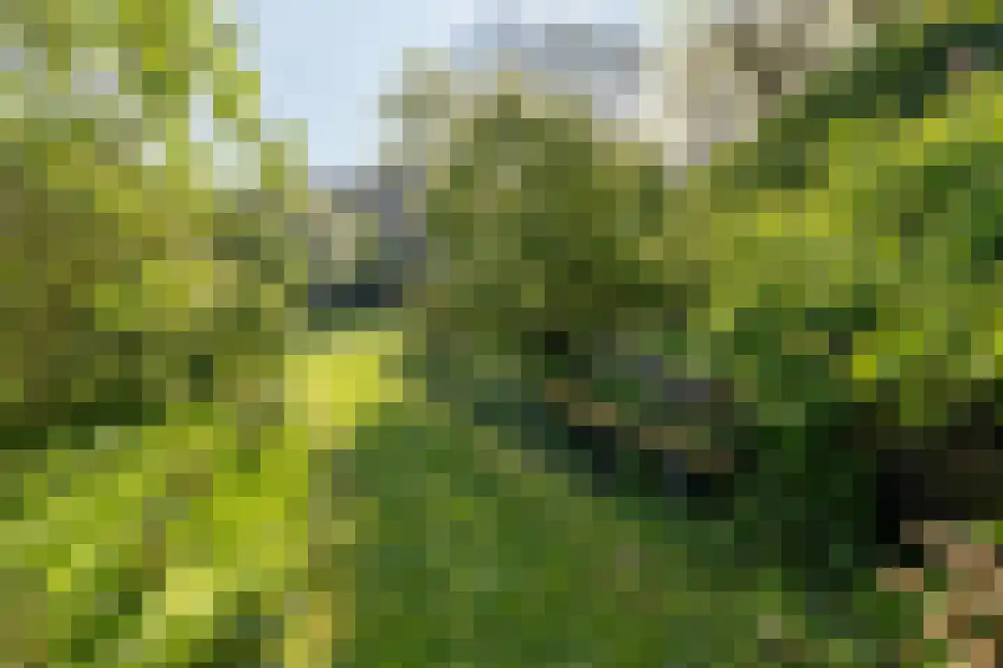 De Brink 5 Cothen thumbnail 50