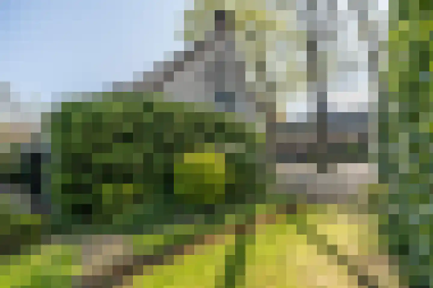 De Brink 5 Cothen thumbnail 53