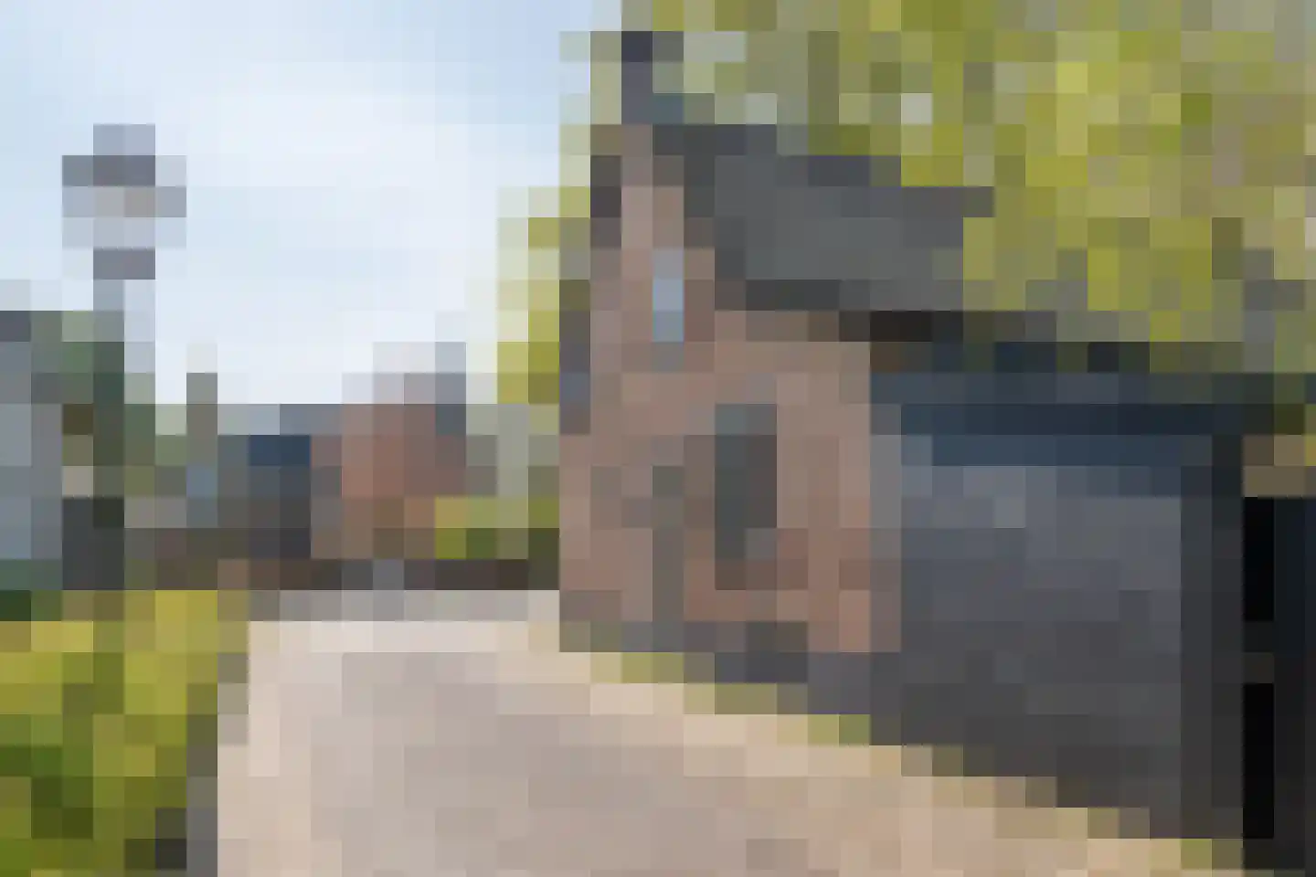 De Brink 5 Cothen thumbnail 57