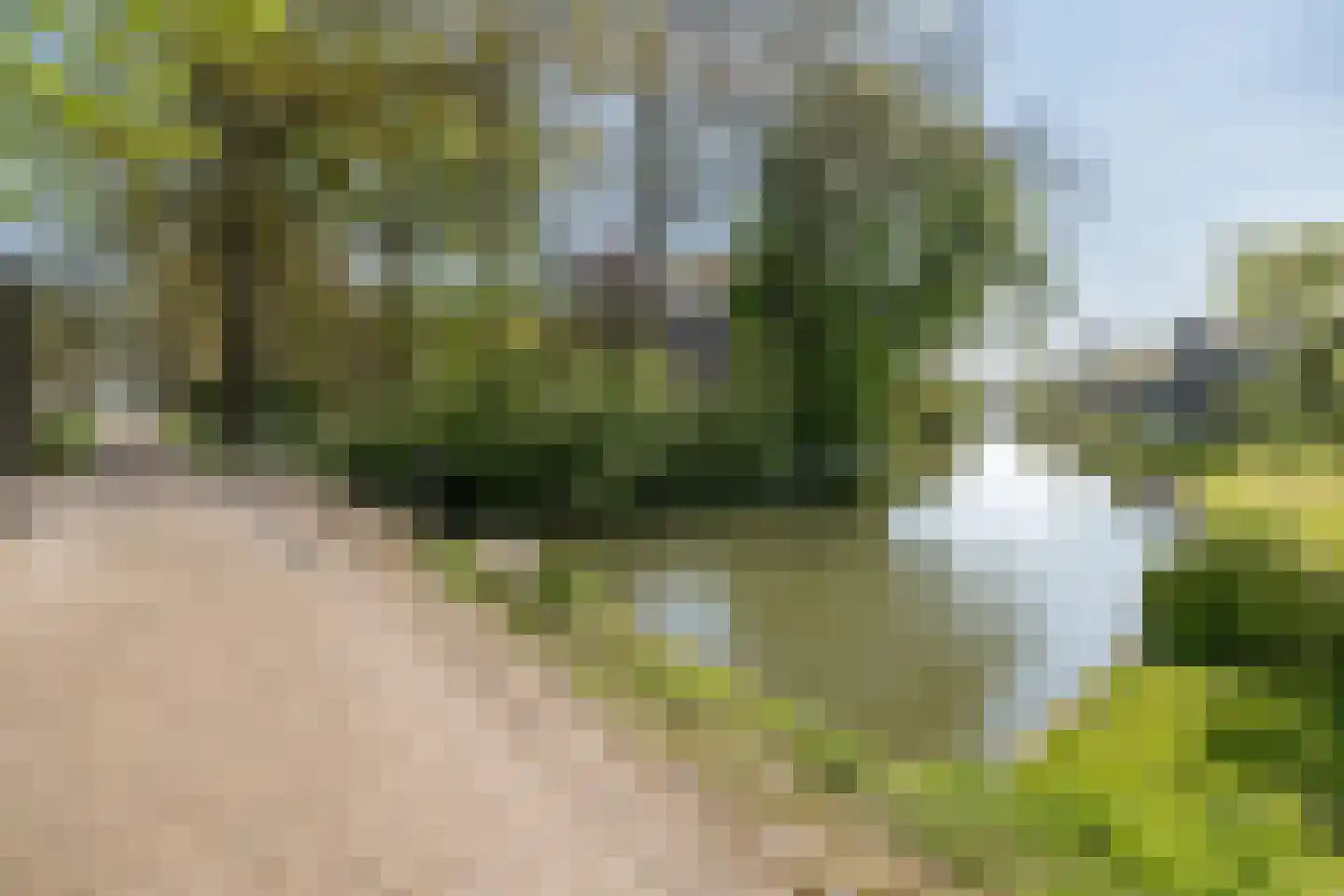 De Brink 5 Cothen thumbnail 61