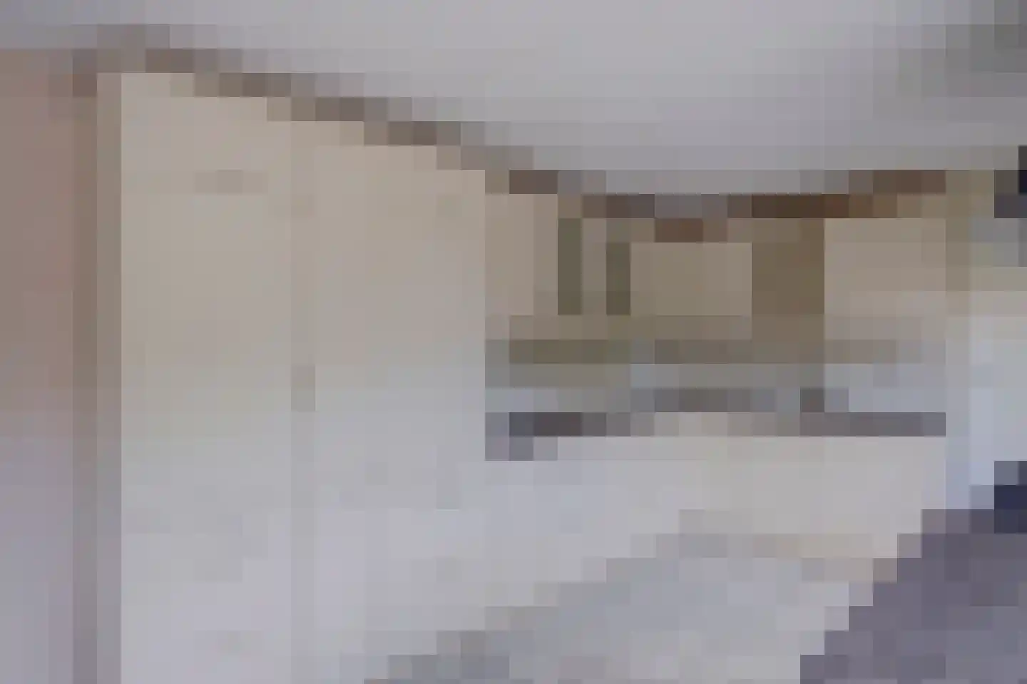 De Brink 5 Rhenoy thumbnail 10