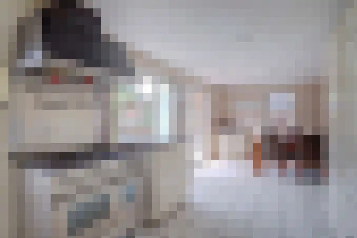 De Brink 5 Rhenoy thumbnail 12