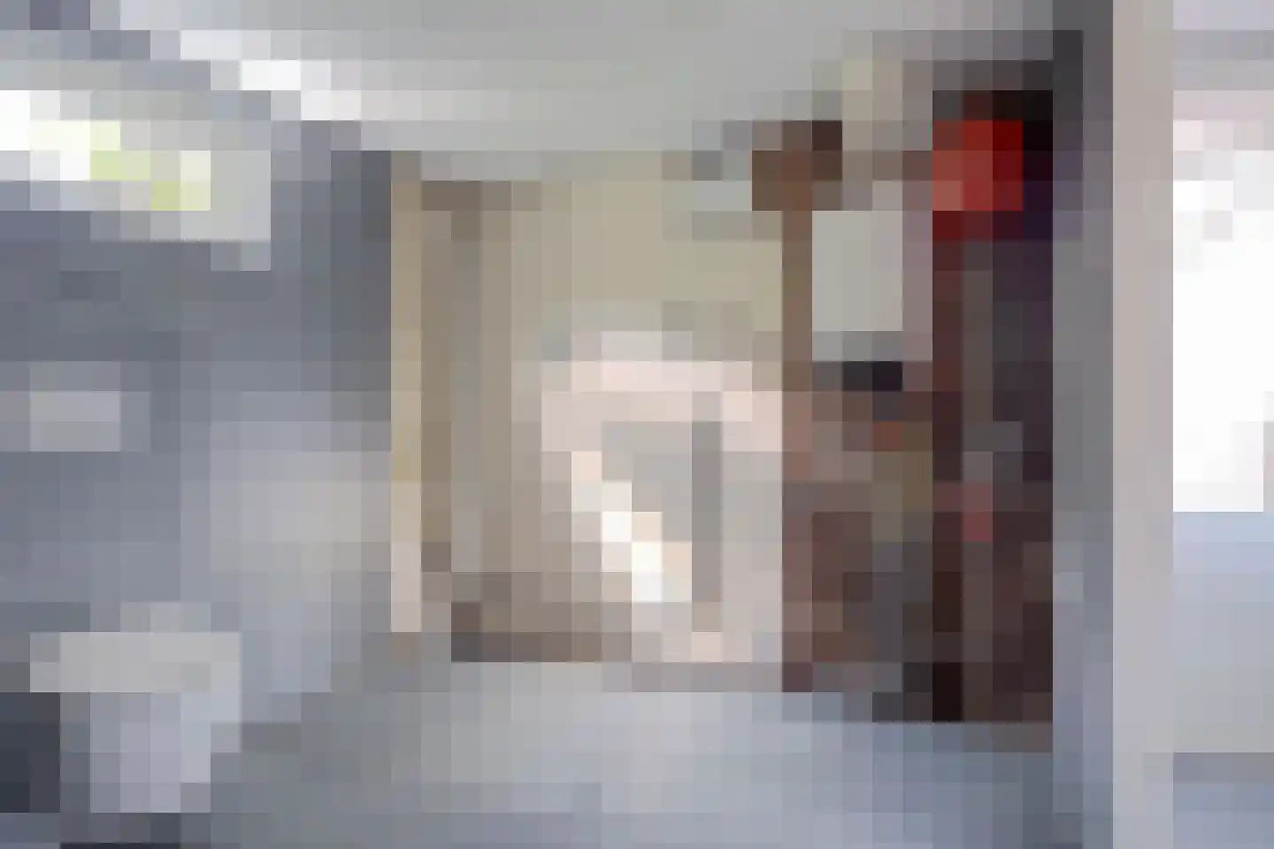 De Brink 5 Rhenoy thumbnail 17