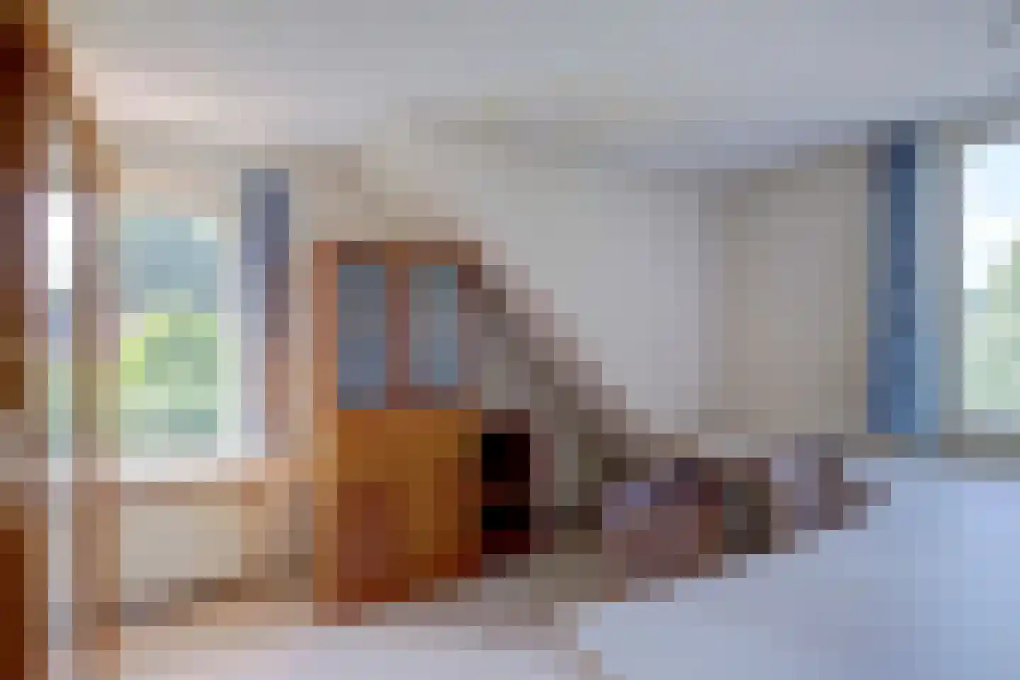 De Brink 5 Rhenoy thumbnail 29