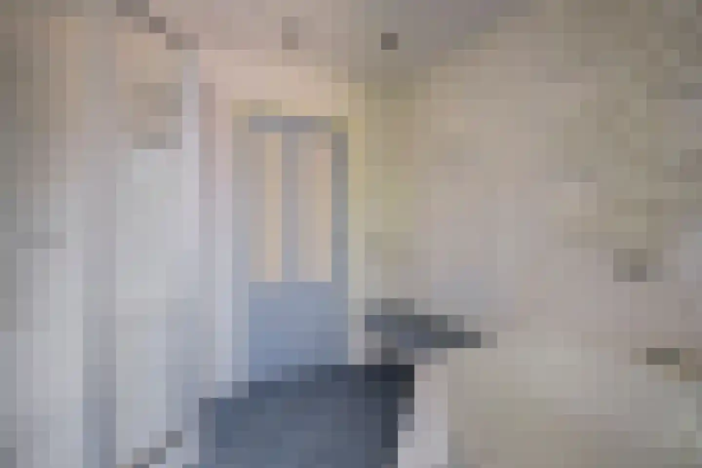 De Brink 5 Rhenoy thumbnail 32