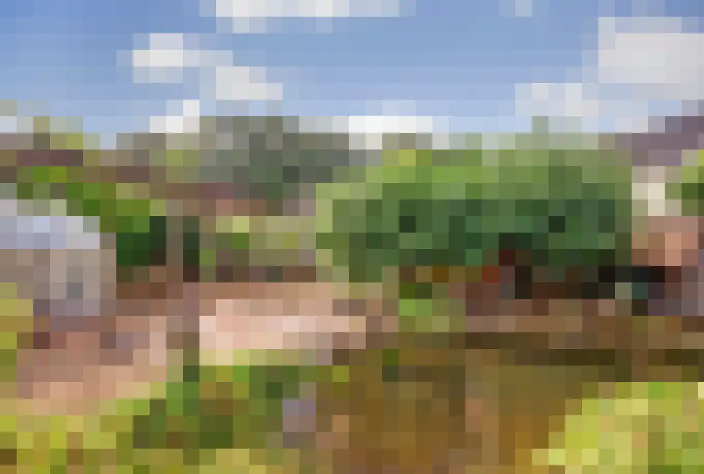 De Brink 5 Rhenoy thumbnail 38