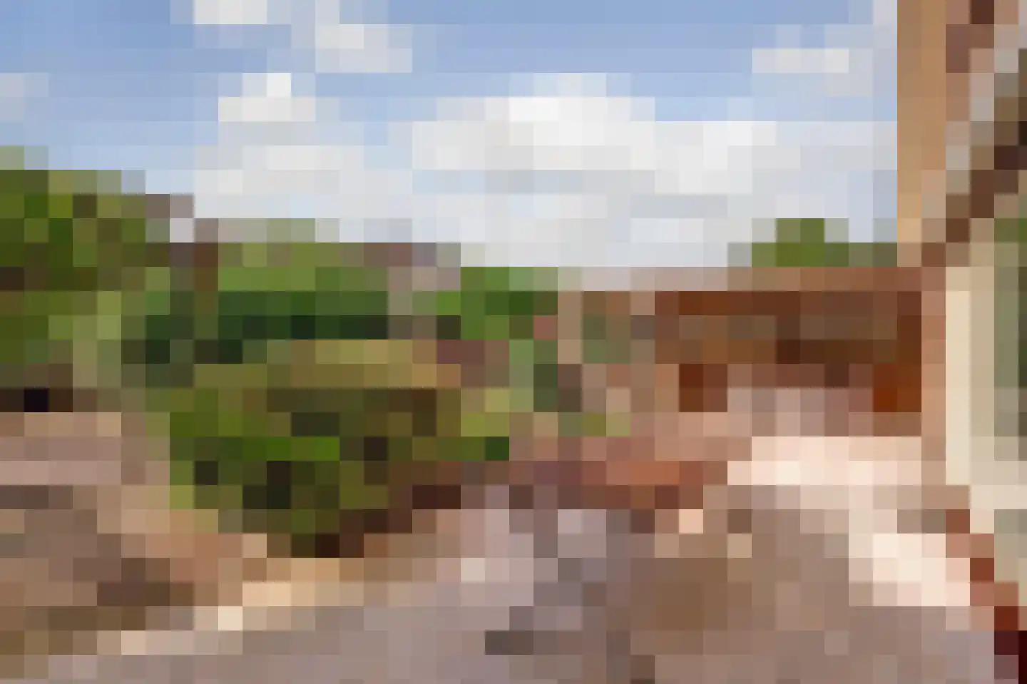 De Brink 5 Rhenoy thumbnail 39
