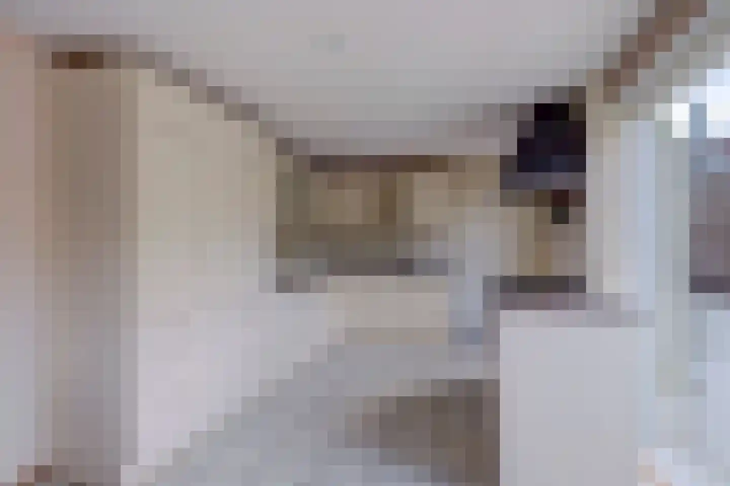 De Brink 5 Rhenoy thumbnail 4