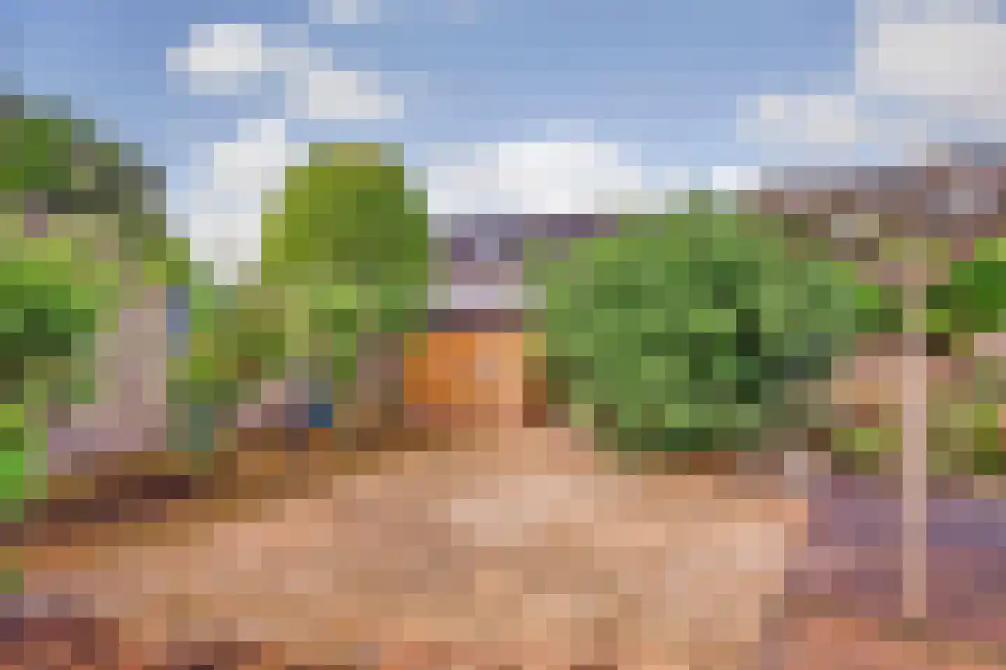 De Brink 5 Rhenoy thumbnail 40