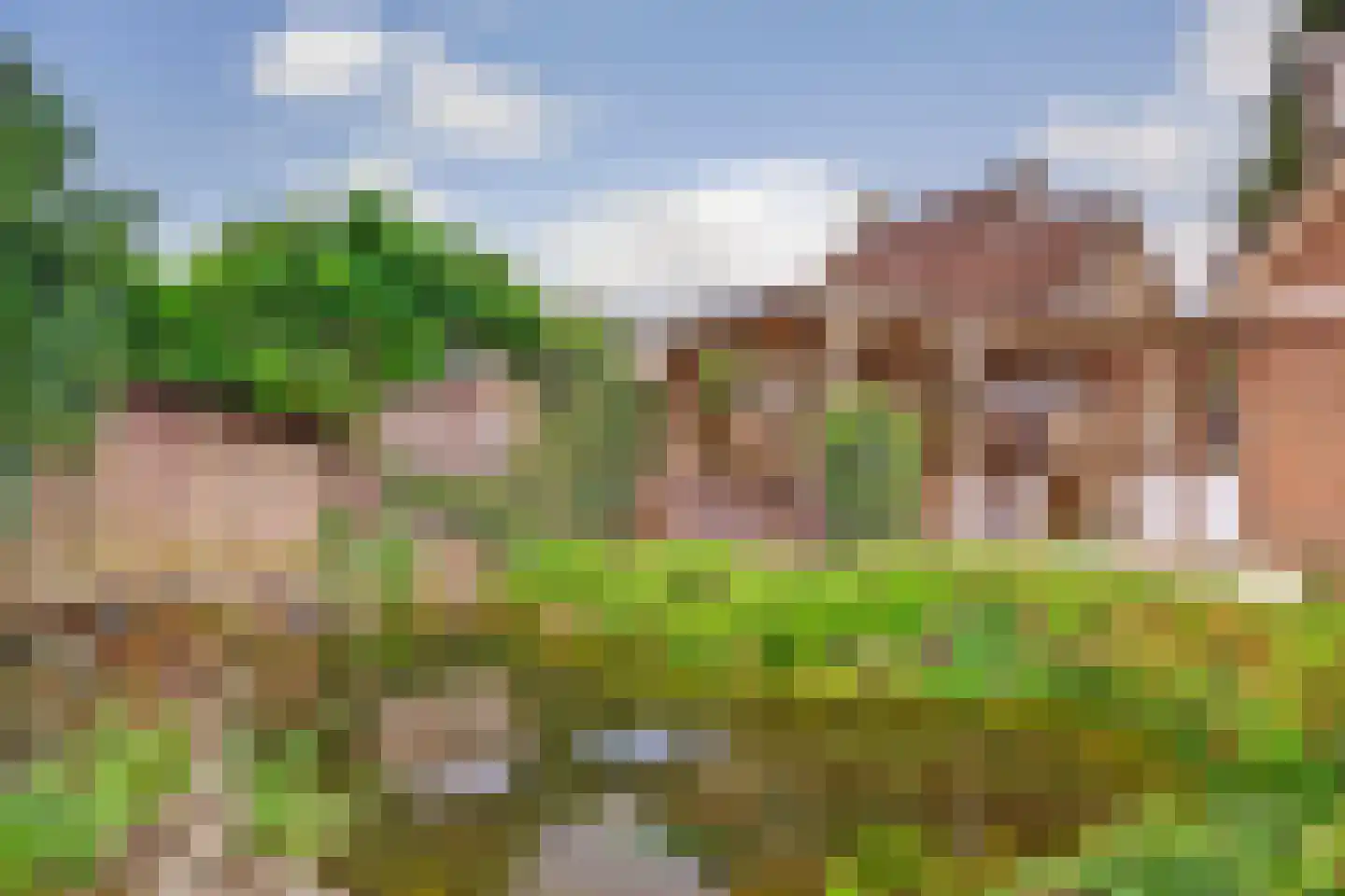 De Brink 5 Rhenoy thumbnail 41