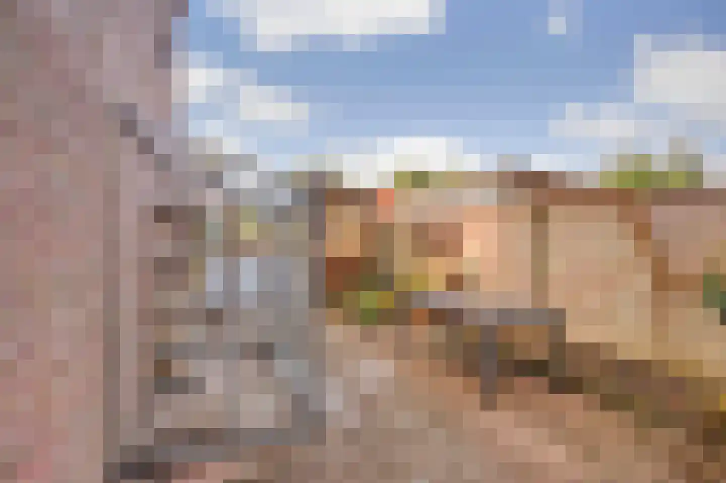 De Brink 5 Rhenoy thumbnail 42