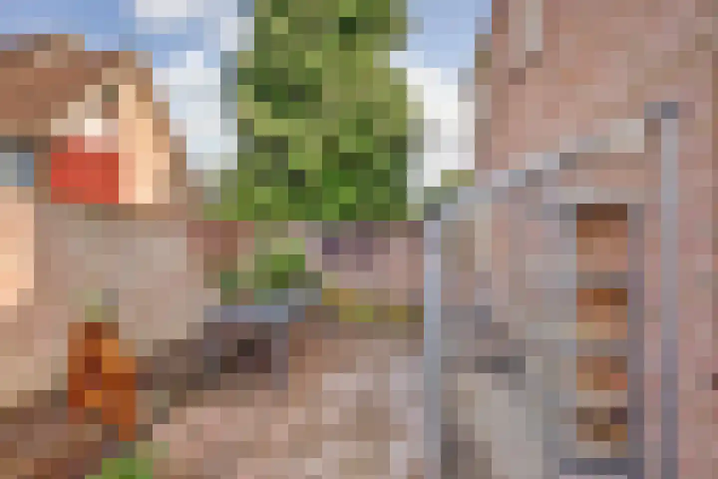 De Brink 5 Rhenoy thumbnail 43