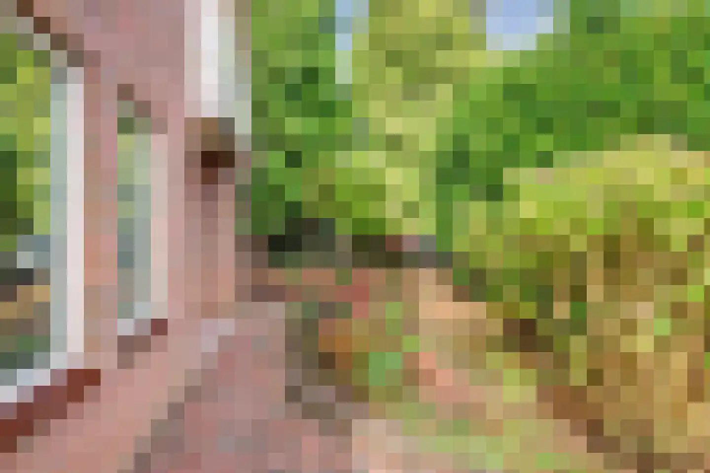 De Brink 5 Rhenoy thumbnail 45