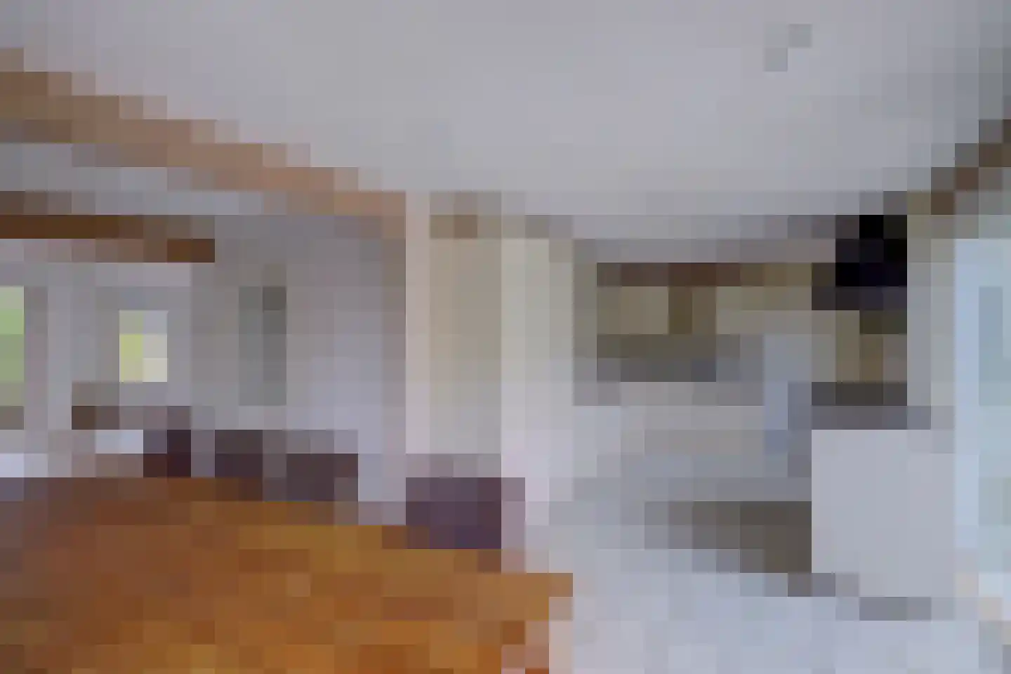 De Brink 5 Rhenoy thumbnail 9