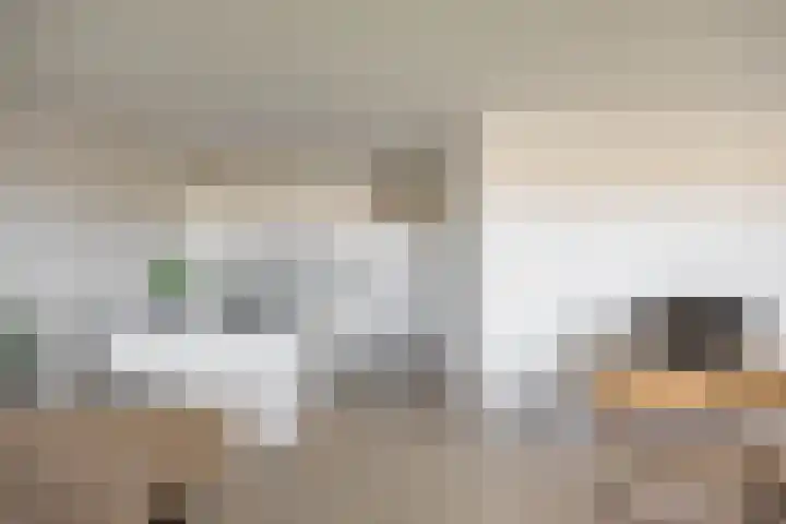 De Brink 50 Groningen thumbnail 20