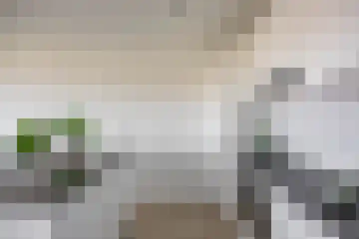 De Brink 50 Groningen thumbnail 21