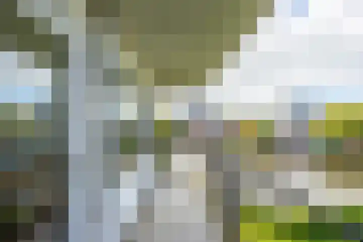 De Brink 50 Groningen thumbnail 26