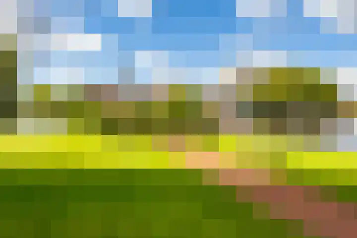 De Brink 50 Groningen thumbnail 5