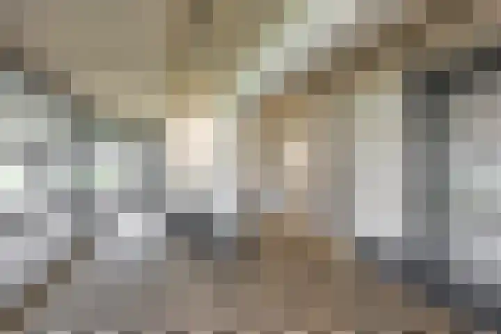 De Brink 50 Groningen thumbnail 7