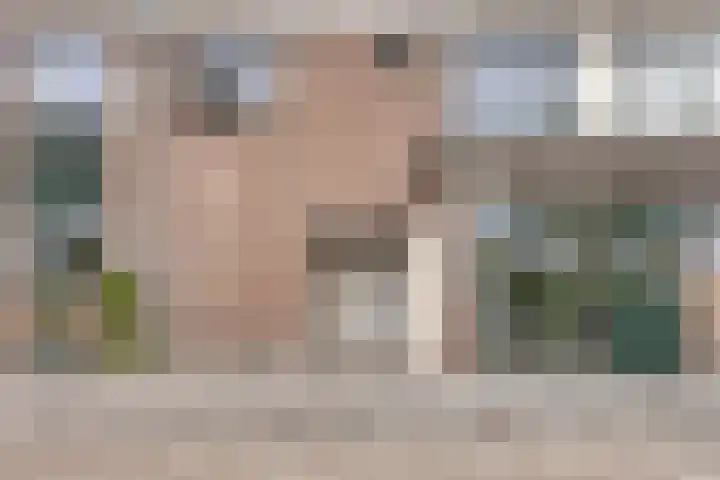 De Brink 566 Den Haag thumbnail 16