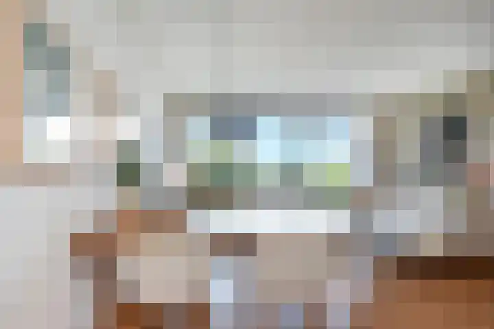 De Brink 566 Den Haag thumbnail 20