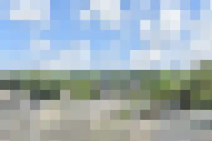 De Brink 566 Den Haag thumbnail 23