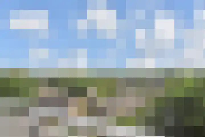 De Brink 566 Den Haag thumbnail 43