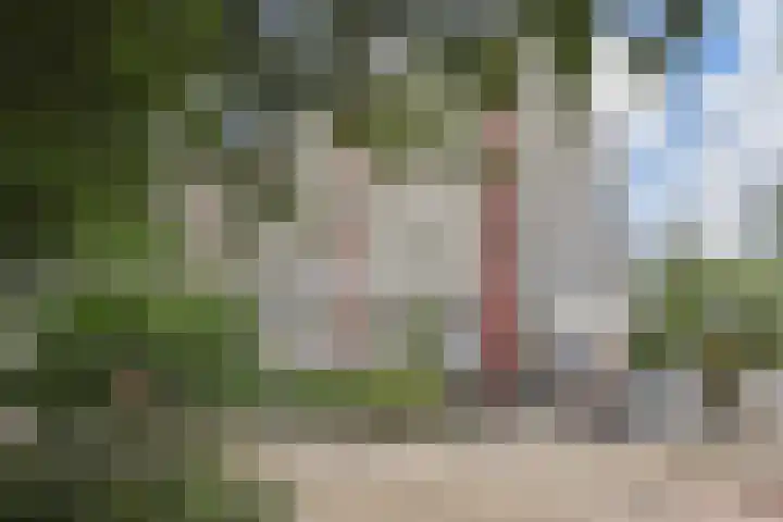 De Brink 566 Den Haag thumbnail 47