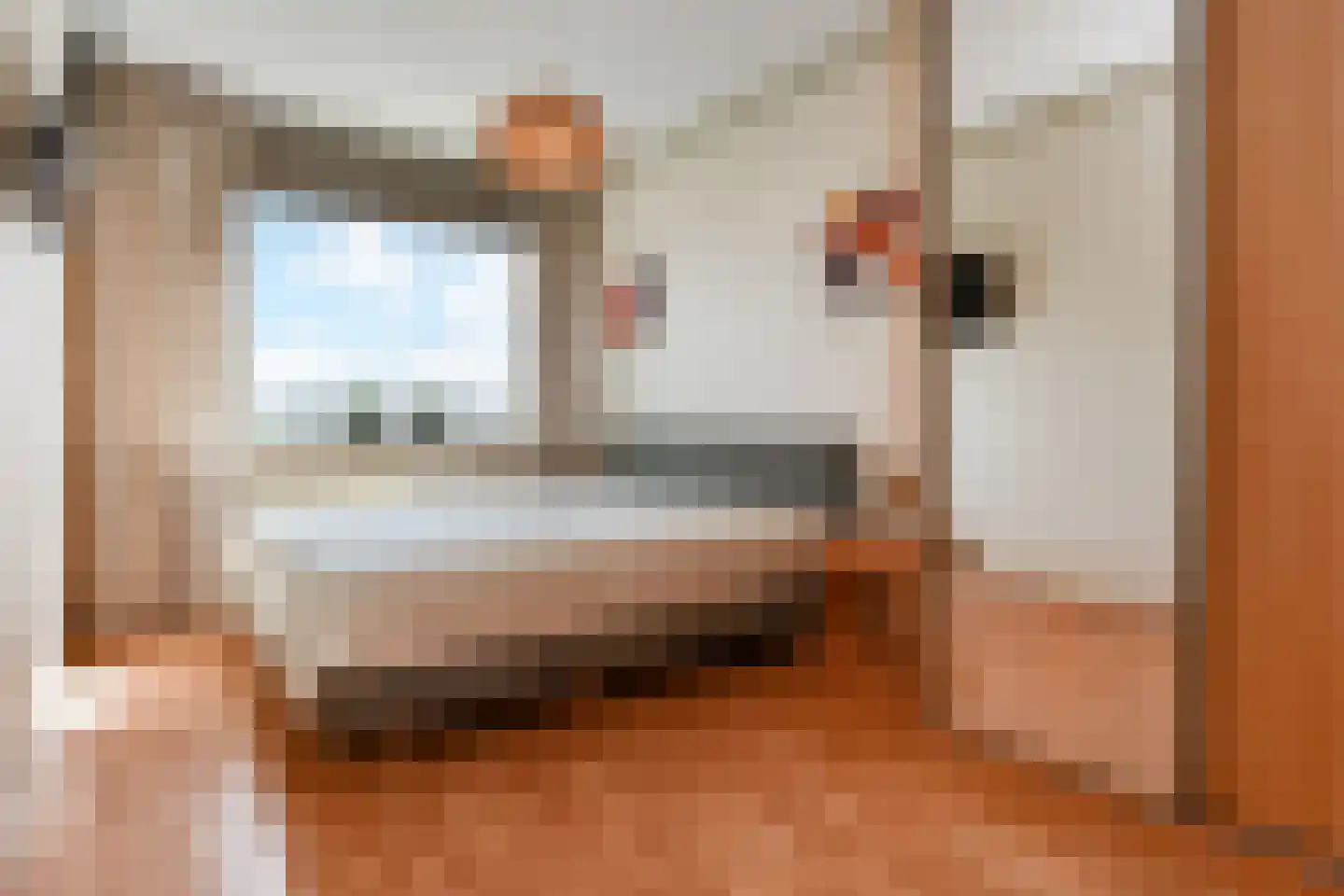 De Brink 578 Den Haag thumbnail 19