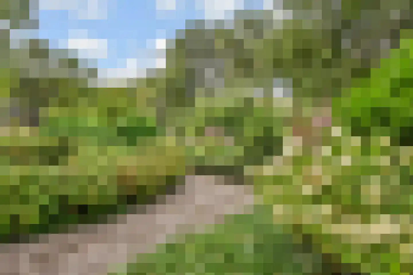 De Brink 578 Den Haag thumbnail 35