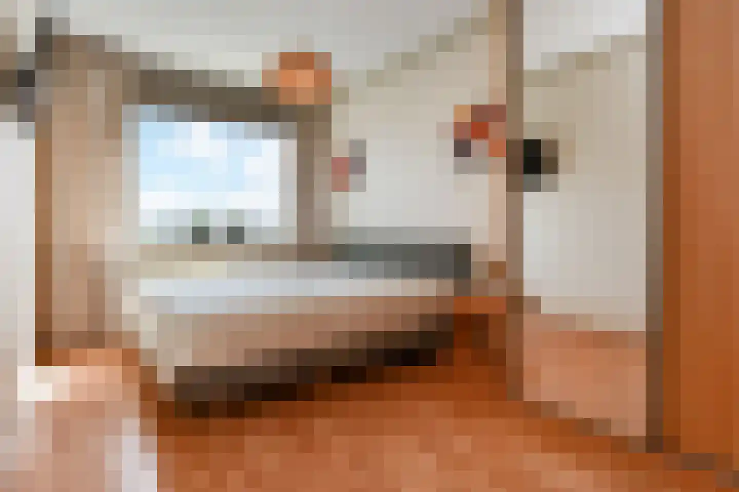 De Brink 578 Den Haag thumbnail 4
