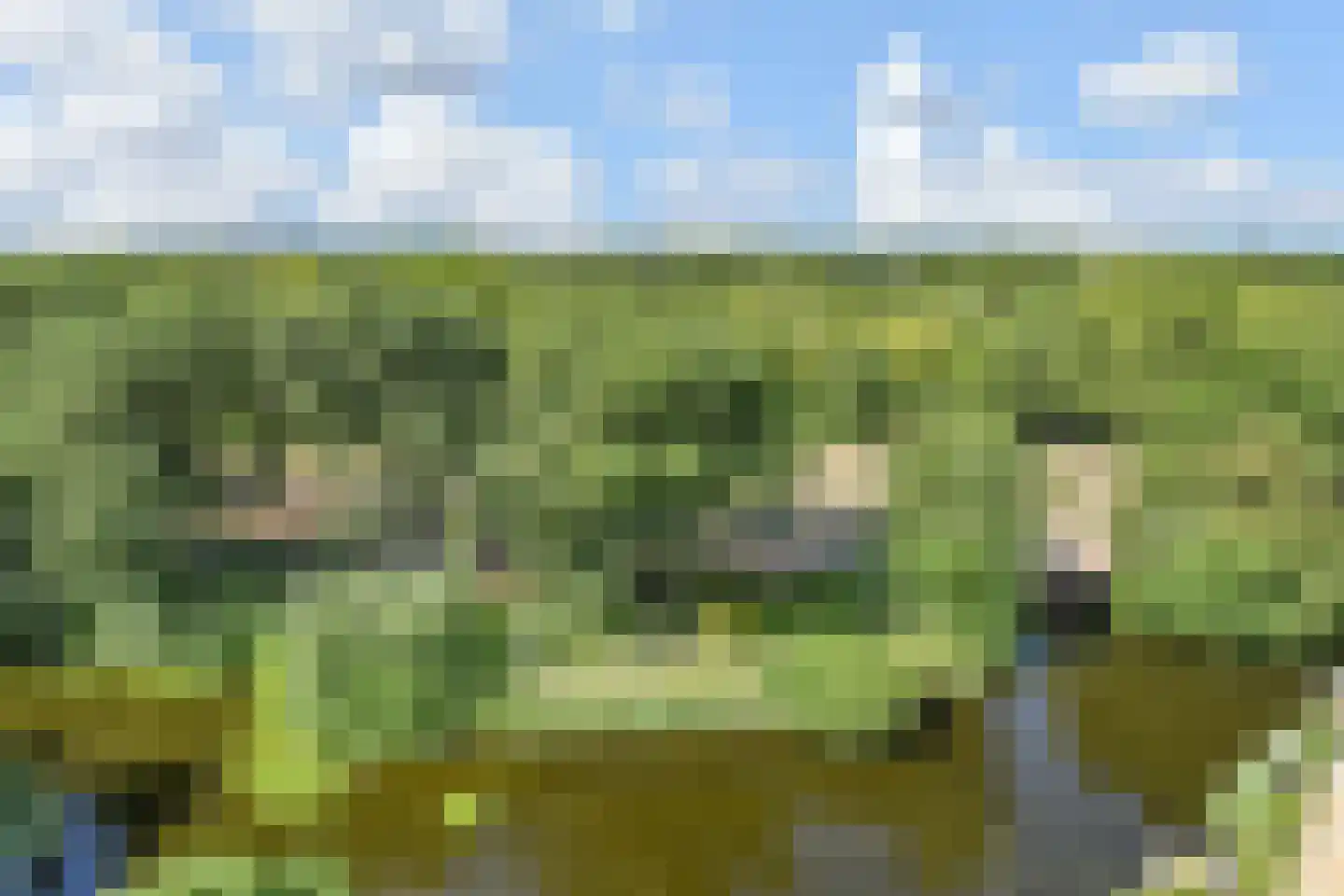 De Brink 578 Den Haag thumbnail 6