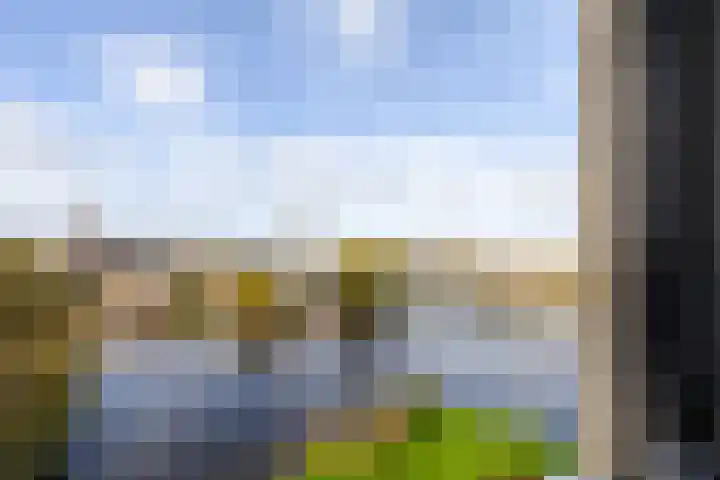 De Brink 58 Groningen thumbnail 16