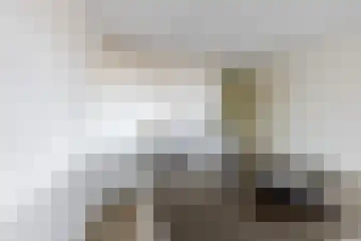 De Brink 58 Groningen thumbnail 18