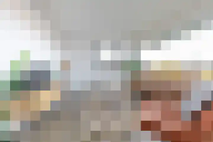 De Brink 58 Groningen thumbnail 23