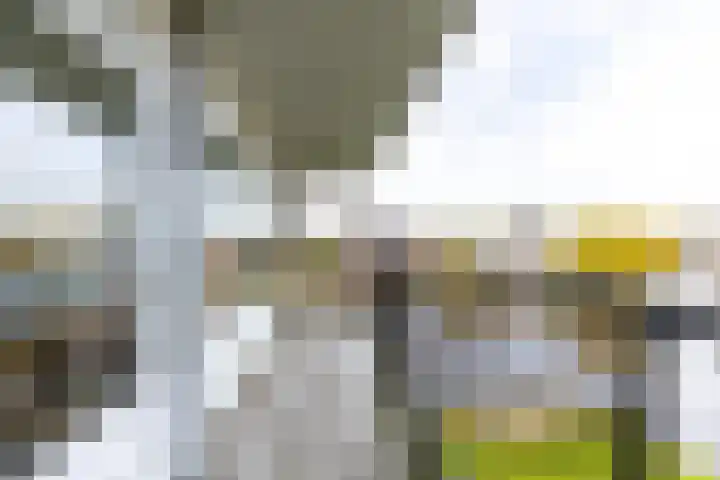 De Brink 58 Groningen thumbnail 27