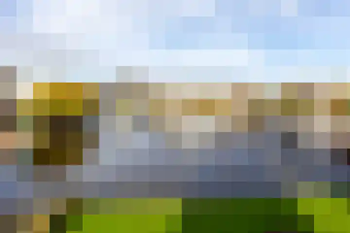 De Brink 58 Groningen thumbnail 28