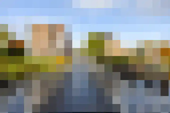 De Brink 58 Groningen thumbnail 35
