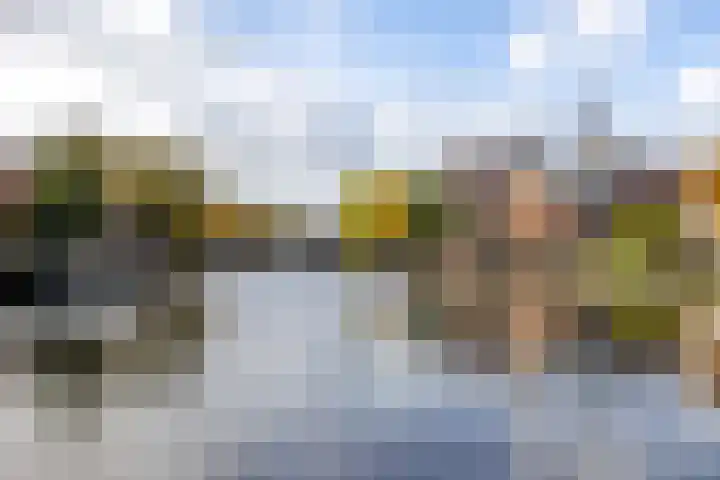 De Brink 58 Groningen thumbnail 6